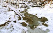17th Feb 2013 - Almost Frozen Stream 
