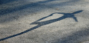 18th Feb 2013 - Yoga Shadow