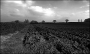 18th Feb 2013 - Ploughed fields (too much post processing)