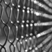 Day 49:  Chain Link by lisabell