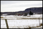 19th Feb 2013 - Winter Farm