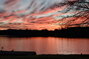 19th Feb 2013 - Woahink Lake Sunrise