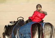 20th Feb 2013 - Donkey ride.