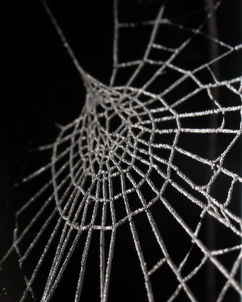 Frosty Web by itsonlyart