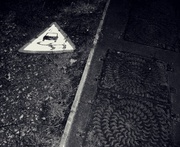 20th Feb 2013 - Urban fossils and discarded warnings of extinction