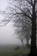 19th Feb 2013 - Misty Morning On St. Mary's Park