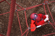 20th Feb 2013 - Spiderman's Web