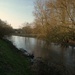 River Avon Salisbury week 8 - 21-2 by barrowlane