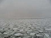 21st Feb 2013 - Icy sea