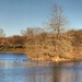 Pano at Bedford Boys Ranch by lynne5477