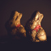 Day 053 - Chocolate Bunnies by stevecameras