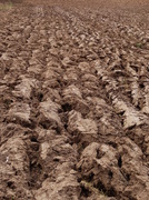 23rd Feb 2013 - Ploughed earth - 23-2