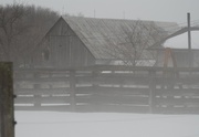 23rd Feb 2013 - Foggy day