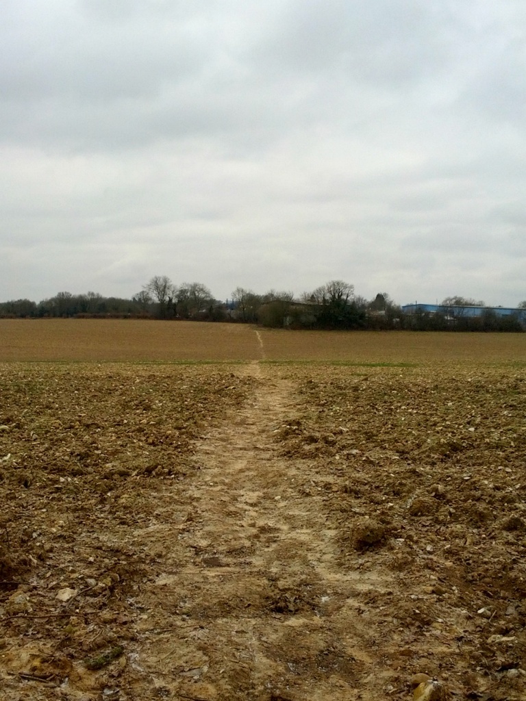 Straight Footpath v8 Feb 13 "Mud" by bulldog