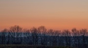 24th Feb 2013 - Marmalade skies