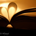 for the love of books by traceywhickerphotography
