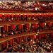 Albert Hall Audience by judithdeacon