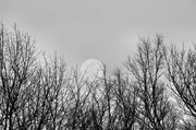 24th Feb 2013 - Grasping at the moon