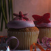 Birthday Cupcakes by nanderson