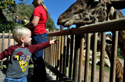24th Feb 2013 - Zoo Day