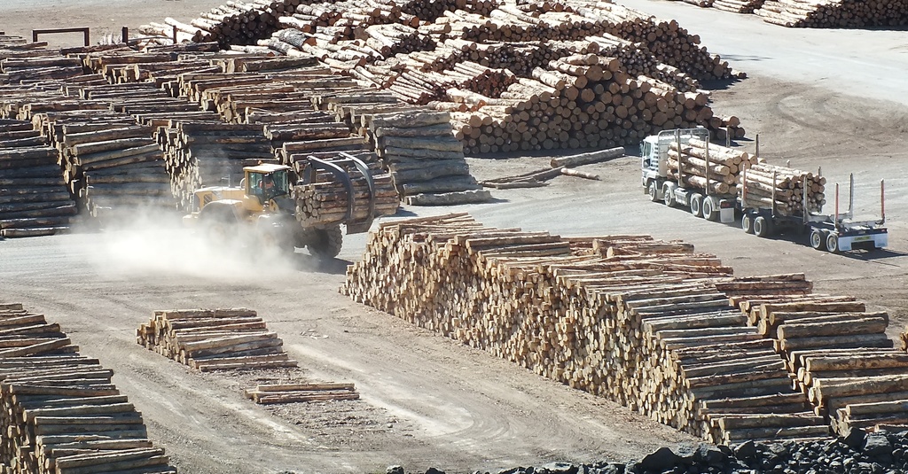25/365  Log stacks by kiwinanna