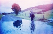 25th Feb 2013 - Flooded road