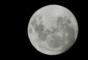 24th Feb 2013 - February Moon