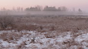 25th Feb 2013 - Strange Fog at Sunrise