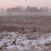 Strange Fog at Sunrise by juliedduncan