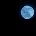 Full Moon in February by taffy