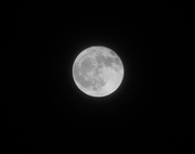 25th Feb 2013 - Full Moon