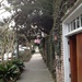 Sidewalk scene, Wraggborough neighborhood, Charleston, SC by congaree