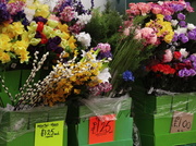 26th Feb 2013 - Flower  stall - 26-2