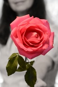 26th Feb 2013 - Sharing My Rosé With U