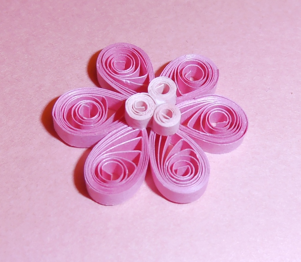 Pink Flower by julie