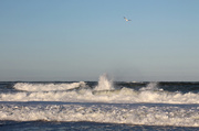 26th Feb 2013 - Big Waves