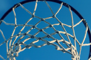 26th Feb 2013 - Basket