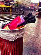 27th Feb 2013 - Where Umbrellas Go To Die...