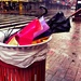 Where Umbrellas Go To Die... by fauxtography365