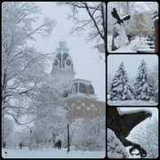 27th Feb 2013 - Hillsdale College Winter Collage