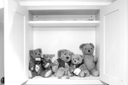 27th Feb 2013 - The Cupboard was Bear!