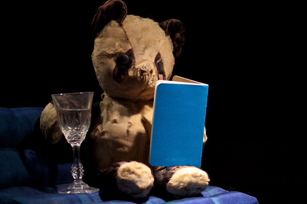 Bare Bear Enjoys a Glass and a Read by taffy