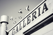 27th Feb 2013 - Galleria