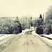 winter road by edie