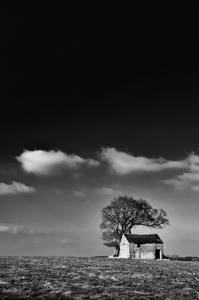 Barn with tree ~ Peak District 1 by seanoneill