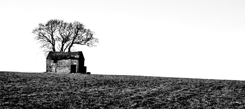 Barn and tree ~ Peak District 3 by seanoneill