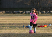 28th Feb 2013 - Last Rays of Pink