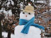 27th Feb 2013 - My Snowman