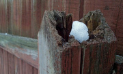 28th Feb 2013 - The Old Fence