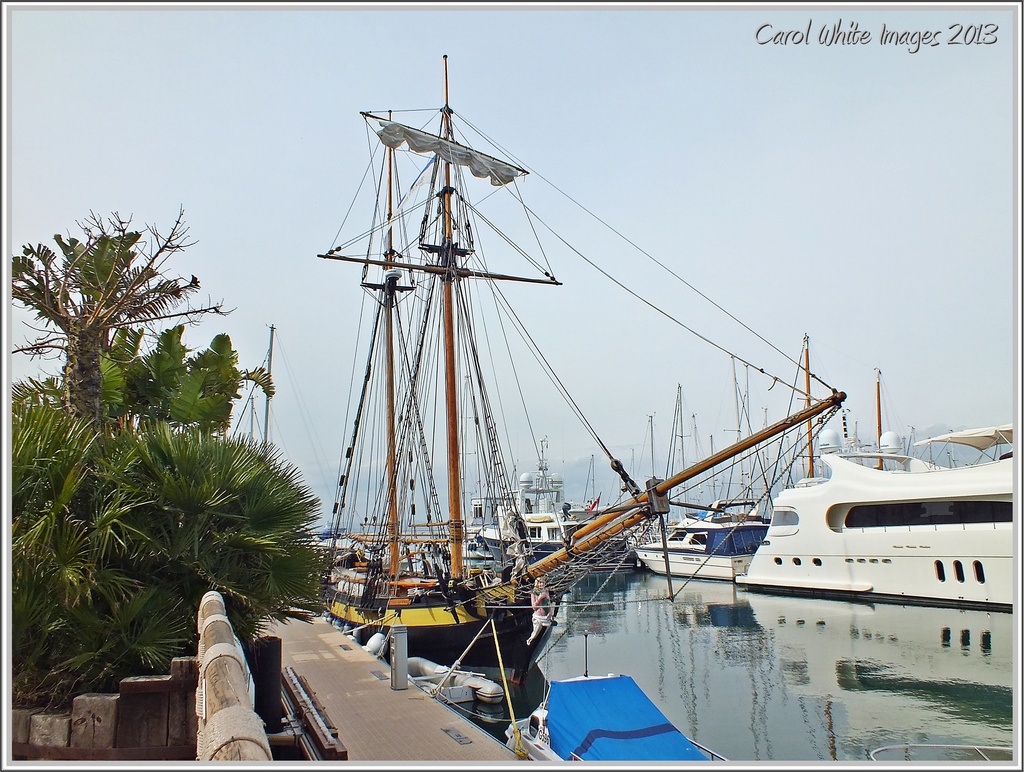 Marina,Gibraltar by carolmw